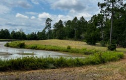29 Mallard Circle, Butler, GA 31006