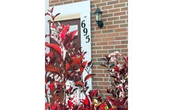 695 Sattle Drive, Lewiston, NY 14174