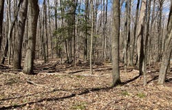 6863 E Spring Ln, Egg Harbor, WI 54209