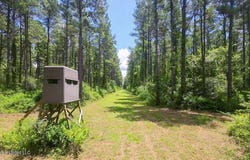 1026 Mt Olive Road, Mount Olive, MS 39119