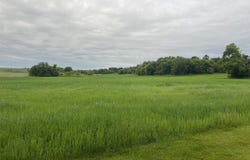 20.37 Ac S Main Street, Reeseville, WI 53579