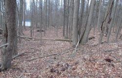 Carl Sunset Lane, Spring Brook Twp, PA 18444