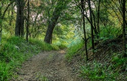 196 Willy RD, Bastrop, TX 78602