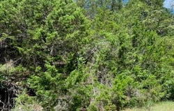 12 Oak  LN, Holiday Island, AR 72631