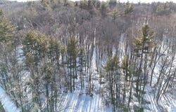 6 Gillespie Rd, Charlton, MA 01507
