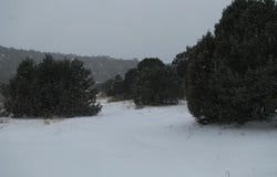 2-A Jack Rabbit Run, Tijeras, NM 87059