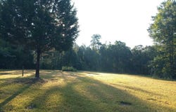 6506 Daniel Griffis Rd, Jay, FL 32565