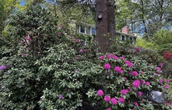 162 Mayfair Dr, Westwood, MA 02090