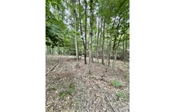 V/L 0 S Elder Avenue, Grant, MI 49327