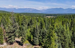 419 Meadow Creek Trail, Fortine, MT 59918