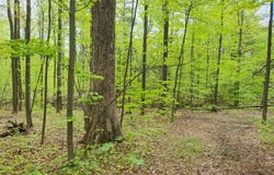 263 Jersey Hill Road, Ithaca, NY 14850