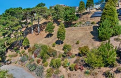 107 Mount Tiburon Road, Tiburon, CA 94920