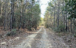 Ararat Rd Tract C, Toxey, AL 36921