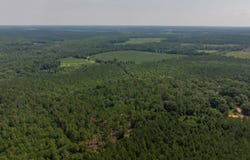 0 Bishop Johnson Circle Road, Plains, GA 31780