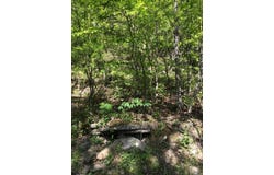 Tract 14 Weldon Rd., Edgemont, AR 72067