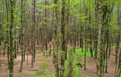John Joy Road Lot 2, Woodstock, NY 12498