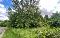 22nd & Ruben Street, Tell City, IN 47586
