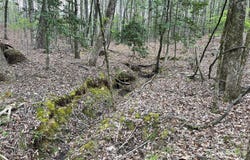 2390 Baron Dekalb Road, Camden, SC 29020