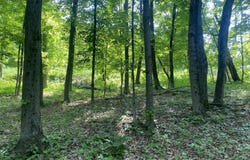 0 County Route 8, Gallatin, NY 12567