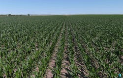 TBD 203rd St, Pierre, SD 57501