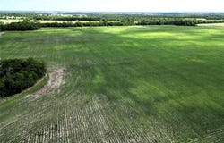 48ac CR 2165, Klondike, TX 75440