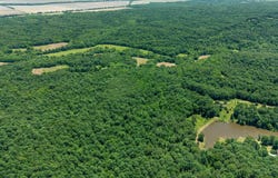29 Acres County Road 303, Cherry Valley, AR 72324