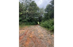 16.68+/- Acres Hwy 127 N, Albany, KY 42602