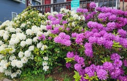 98 Humphrey St, Lowell, MA 01850