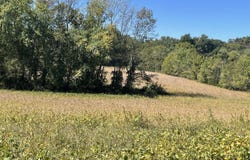 200 Glenmore Road, Bowling Green, KY 42101
