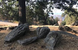 29101 Woodview Court, Tehachapi, CA 93561