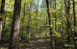 9 National Trail, Crandon, WI 54520