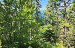 24699 MT Highway 35, Bigfork, MT 59911