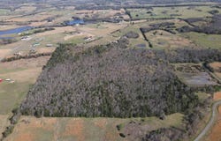 Quitman, AR 72131