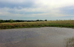 21481 SW County Road 4040, Dawson, TX 76639