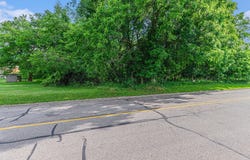V/L Avenue C, Springfield, MI 49037