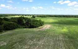 48ac CR 2165, Klondike, TX 75440