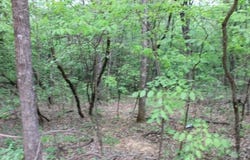 Mountain  RD, Harrison, AR 72601
