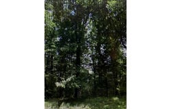 Raintree Rd, Roanoke, VA 24018