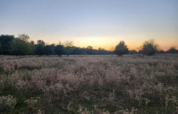 694 County Road 4919, Quitman, TX 75783