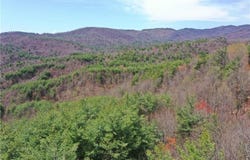 000 Big Ivy Road, Purlear, NC 28665