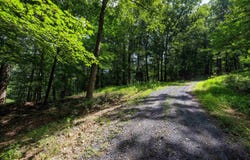 TBD BRUNK SPRING LN, BROADWAY, VA 22815