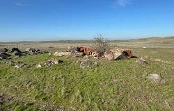 34008 Heiskell Rd, Raymond, CA 93653