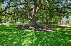 2210 Jesse Owens DR, Austin, TX 78748