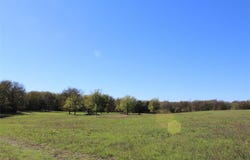 2997 County Road 494, Princeton, TX 75407