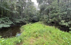 Tbd Guinyard Boulevard, Springfield, SC 29146
