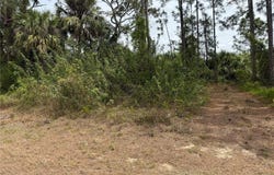 557 NAPLES AVENUE S, LEHIGH ACRES, FL 33974
