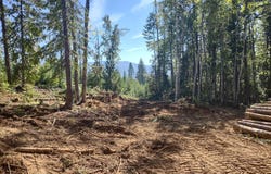 Nka Cohage Rd, Sandpoint, ID 83864