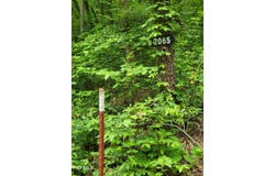 2065 Dyer Hollow Road, Mohawk, TN 37810