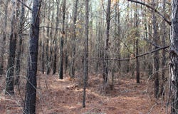 Hickory Grove Road, Nashville, AR 71852
