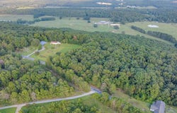 1660 County Road 664, Henagar, AL 35978